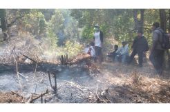 Kebakaran Gunung Lawu Meluas, Status Siaga Bakal Diberlakukan