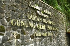 MNC Land Godok Luas Area TNGGP