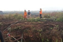 200 Hektare Lahan Suaka Margasatwa Kerumutan Terbakar