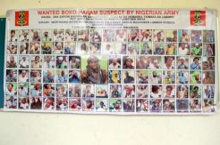 Nigeria Sebar Poster...