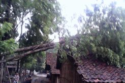 Angin Ribut Porak Porandakan Piyungan