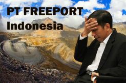 Kadin: Pencatutan Jokowi di Freeport Tak Ganggu Investasi