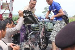 Pencuri di Pamekasan Tewas Diamuk Warga
