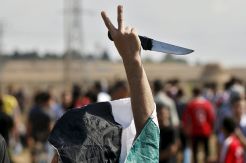 Pria Palestina Tusuk...