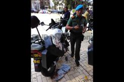 Usia Ratusan Tahun, Pohon di Kantor Bima Timpa Motor Patwal Menteri