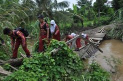 Sungai di Bawah Jembatan Darurat Ini Dihuni Banyak Buaya