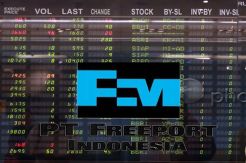 Hipmi Sarankan Freeport IPO di BEI