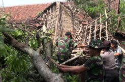 Puting Beliung Terjang Jombang, 27 Rumah Rusak