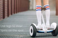 Xiaomi Akan Pasarkan Ninebot Mini di Indonesia