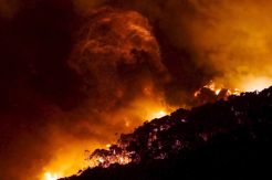 Natal Kelabu, 103 Rumah Terbakar di Australia