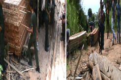 Petugas Amankan Kayu Ilegal di Kota Subulussalam