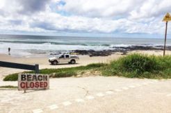 60 Sharks Spotted on Australia Popular Swimming