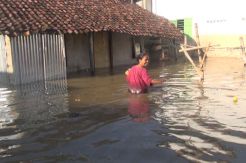Banjir Setinggi 1 Meter Semakin Meluas ke 6 Desa di Jombang
