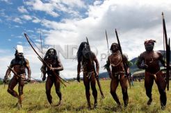 Perang Suku di Wamena...