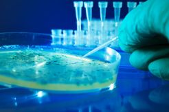 SCI Kembangkan Riset Sel Punca untuk Alternatif Pengobatan Kanker