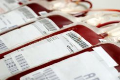FDA Cabut Larangan Donor...