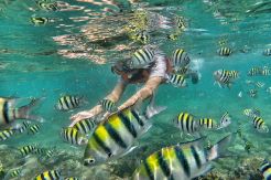 Asyiknya Ber-Snorkeling...
