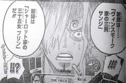 Dalam Rilis Terbaru One Piece, Sanji akan Menikah