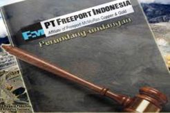 Freeport Special Commite Already Relevan to Establish