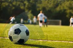 PBR Jadi Madura United FC, Janji Lebih Profesional