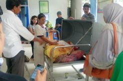 Demam Berdarah Renggut Nyawa Rifki