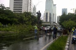 Pohon Tumbang Nyaris Timpa Patung Jenderal Sudirman