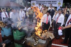Bareskrim Musnahkan Puluhan Bukti Kejahatan Konservasi Satwa Langka