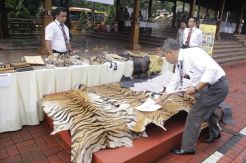 Kerugian Negara Kejahatan Konservasi Satwa Langka Hingga Ratusan Juta