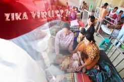 In Indonesia, Malaria More Harmful Than Zika Virus