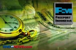 Papua Minta Saham Freeport