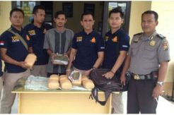 Bawa 10 Kg Ganja, Penumpang Bus Ditangkap