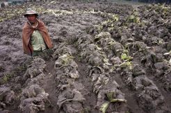 Warga Terdampak Erupsi Gunung Bromo Mengaku Belum Dapat Bantuan