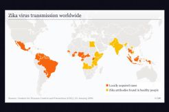 Sampel Virus Zika di...