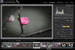 Adobe Lightroom 2.0 Sudah Bisa Diunduh Gratis