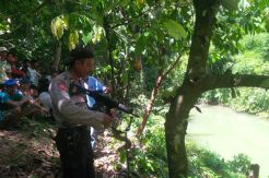 Warga dan Aparat Berburu Buaya di Sungai Unyi