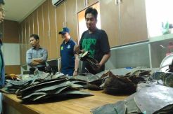Polda Ringkus Sindikat Perdagangan Sisik Penyu