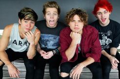 Larangan buat Penonton Konser 5 Seconds of Summer Rawan Komplain