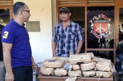 Ganja 30 Kilo Tanpa Pemilik Ditemukan dalam Selokan Air