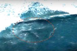 Pemburu UFO Klaim Temukan Puing MH370 di Afrika Selatan