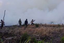 50 Kali Dibom Air, Kebakaran Dekat Bandara Pinang Kampai Belum Teratasi