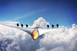 These Radical Concept Plane in 2050