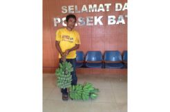 Curi Dua Tandan Pisang, Dodi Menangis di Kantor Polisi
