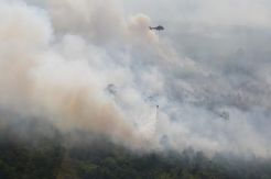 2 Heli Super Puma Diterjunkan Padamkan Kebakaran Hutan di Riau
