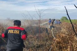 Sudah 706 Hektar Hutan dan Lahan Riau Musnah