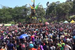 Berebut Durian, Tujuh Orang Terluka