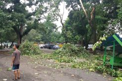 Dihantam Puting Beliung, Gembira Loka Zoo Belum Terima Kunjungan