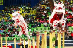 Welcome Our Brother Barongsai!!