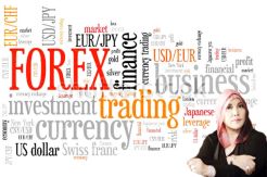 Foreign Investment Still Need Rule of Law