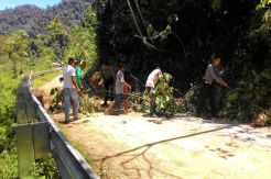 Jalan Merangin-Kerinci Longsor, Pemerintah Lamban Bertindak