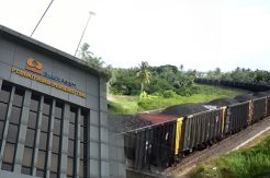 PTBA Incar Penjualan Batu Bara Naik 51%